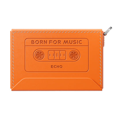 FIIO NEST-ECHO