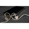 FIIO Oak Nano