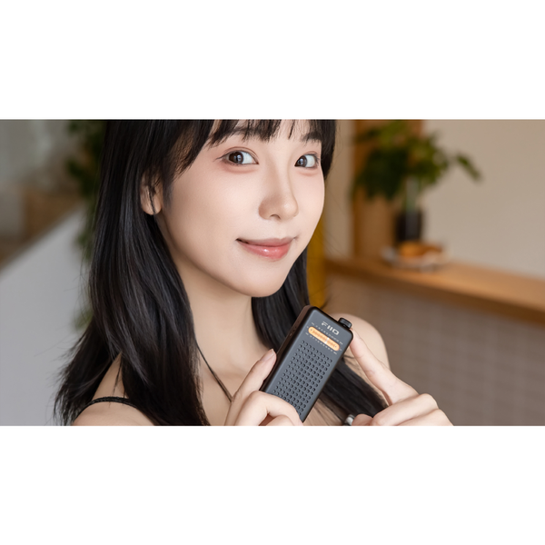 FIIO RR13