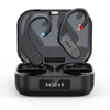 FIIO LINK TWS (UTWS17)