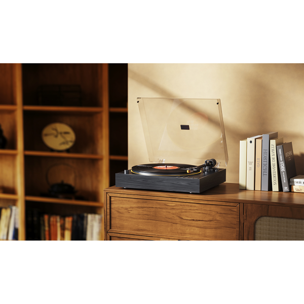 FIIO TT11