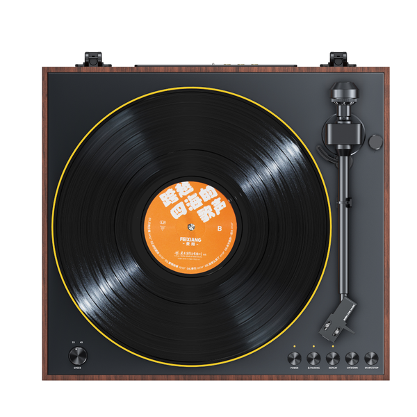 FIIO TT11