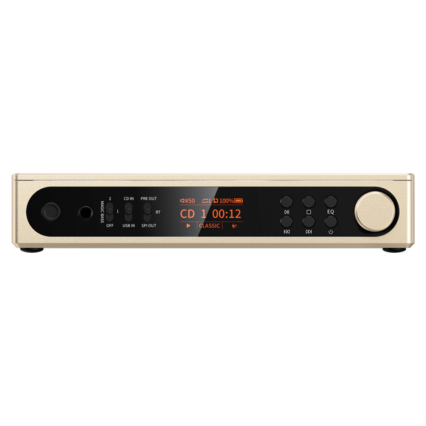 FIIO DM15 R2R
